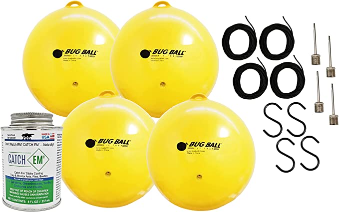Bug Ball - Gnat Ball Starter Complete Kit