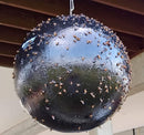 Bug Ball - Bug Ball Starter Kit