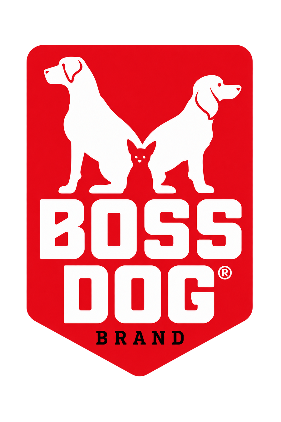 Boss Dog
