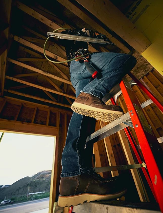Irish Setter