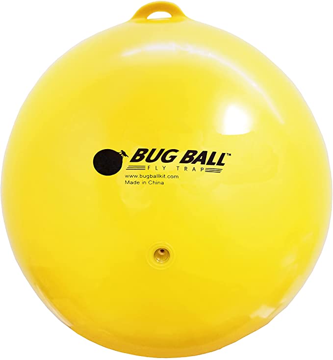 Bug Ball - Gnat Ball Starter Complete Kit