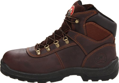 Irish Setter Men's Ely 6" Steel Toe