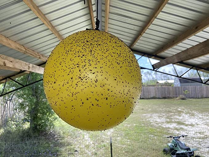 Bug Ball - Gnat Ball Starter Complete Kit