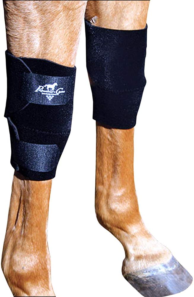 Professionals Choice Equine Knee Boot - Pair (Universal Size, Black)