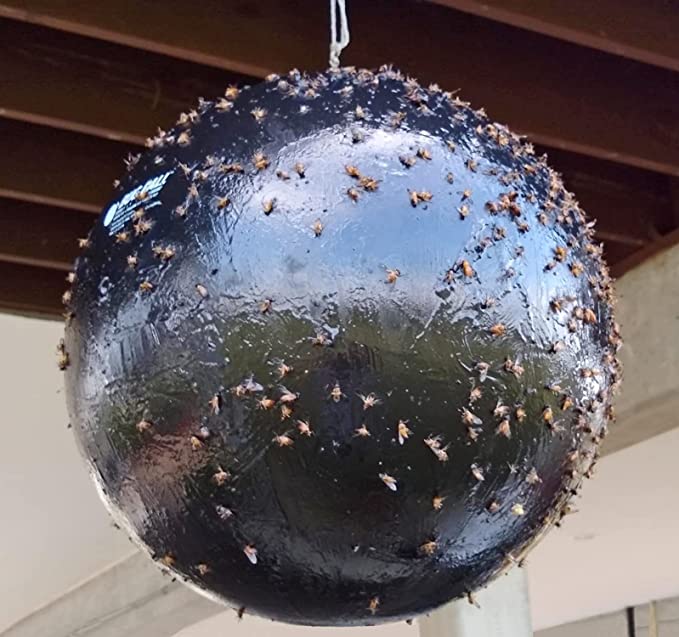 Bug Ball - Bug Ball Starter Kit Complete