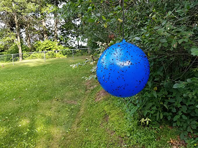 Bug Ball - Deer Fly Ball Starter Kit Complete