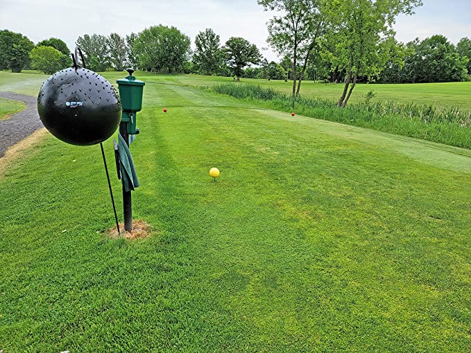 Bug Ball - Bug Ball Starter Kit Complete
