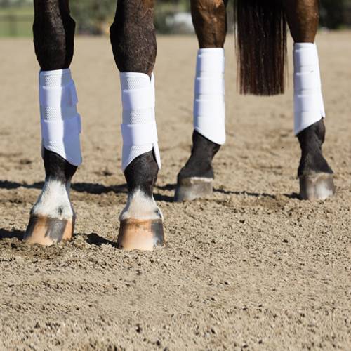 Professional's Choice Performance XCR Boots