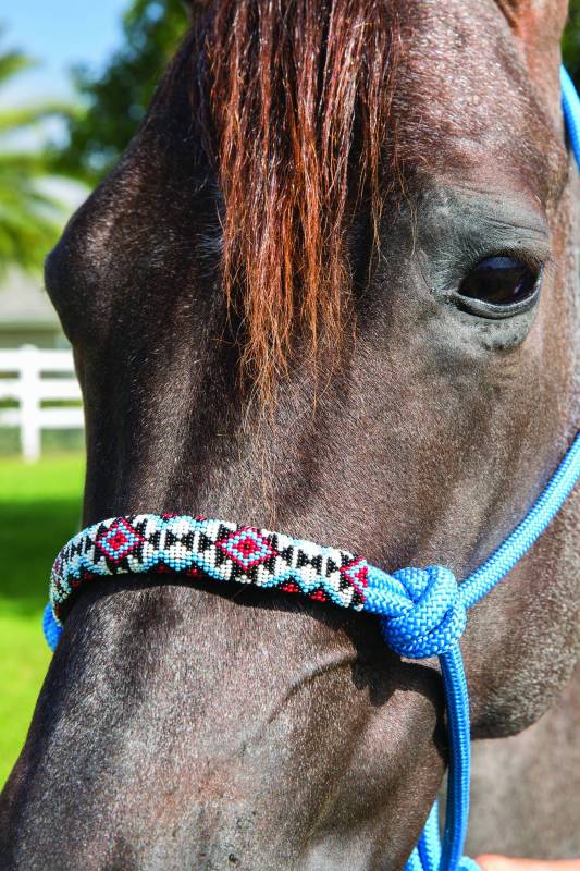 Professional's Choice Beaded Rope Halter Turquoise