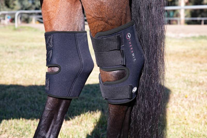 Professional's Choice Theramic Hock Boot - Large
