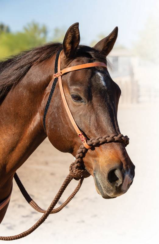 Professionals Choice Loping Hackamore