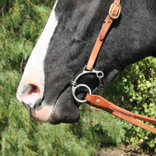Equisential by Professionals Choice Equine Route 66 Bit