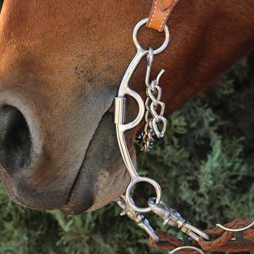 Professionals Choice Bit Barrel Derby Smooth Silver